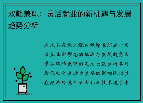 双峰兼职：灵活就业的新机遇与发展趋势分析